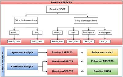 Validation of two automated ASPECTS software on non-contrast computed tomography scans of patients with acute ischemic stroke